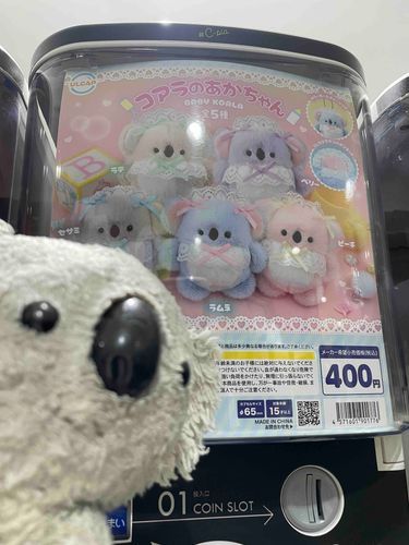 浮気してんじゃない！！！！！！！！