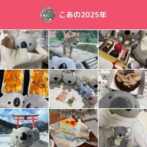 いいコアラ年だった、来年もコアラ年でいきましょう！