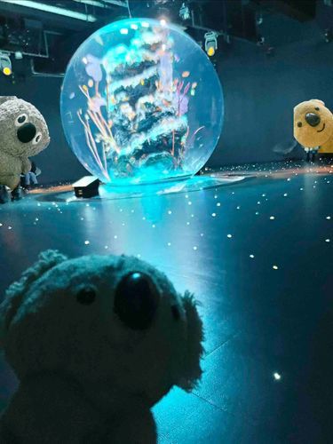 カップルが行きそうな水族館ににんげんと行きました、うちのひとは写真が下手です
