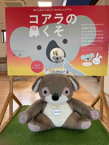 顔はめは旅行に来た感出るね
