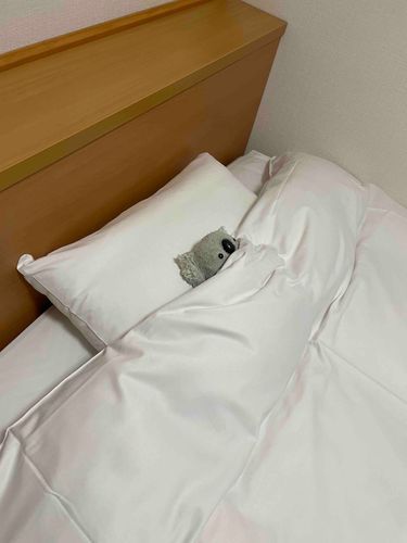シングルベッドで夢とコアラを抱きなさい