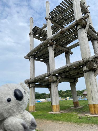 のぼりたいな〜