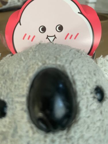 ミーハーなにんげんにコアラの存在をアピール