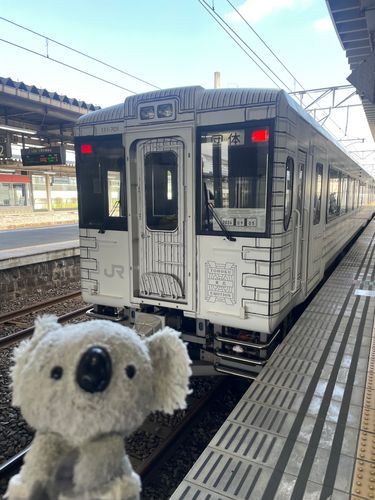 コア鉄(コアラと鉄道乗るのが好きな人)