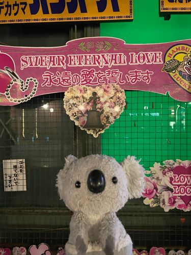 永遠の愛誓います❤️❤️❤️