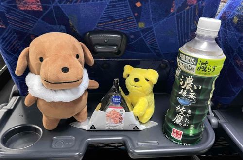 イヌ2人で旅行に行きます🚌
どこにいくでしょう？？
