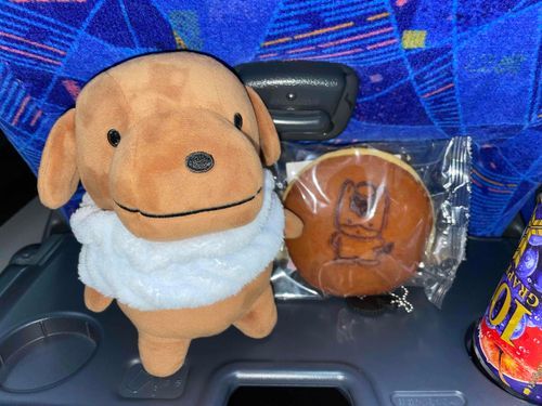 ハウスに帰ります