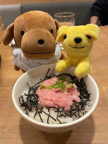 鮪('-' 鮪)з