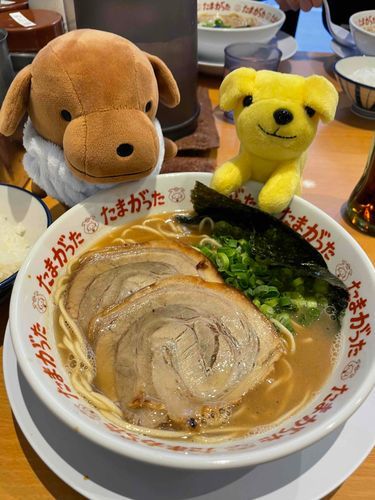 _(┐「ε:)ﾉ ͟͟͞͞🍜ﾗﾐｮﾝ