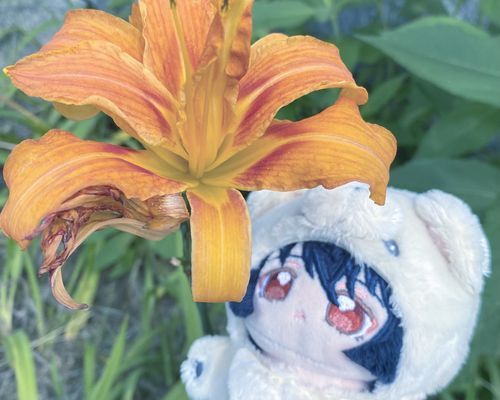 りつ! 夏がきちゃうよ!!