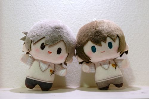 新しい仲間です
