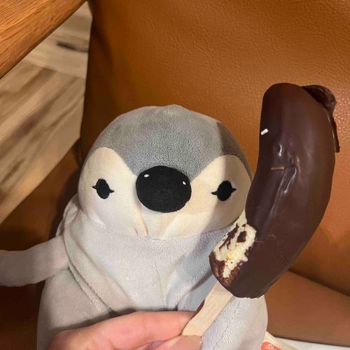 じゃじゃーん。おいしそーだね。