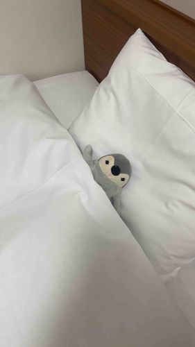 ホテルでお泊まり〜。