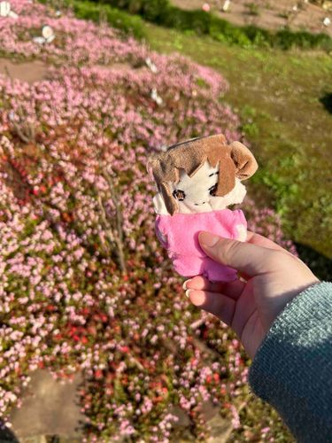 公園に行ってきたよ