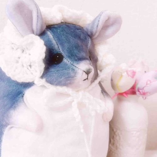 チンチラのちゃんぷる!!
仲良くしてね✌️ﾁｮｷ