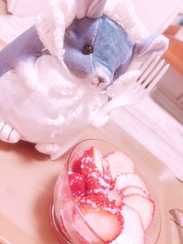 🍓🍼〜〜〜ෆ˚*


✌️ﾁｮｷ