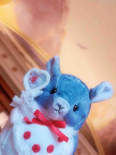 オシャレしてお出かけしたよʕ•ᴥ•ʔ✌️