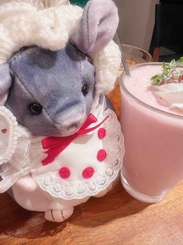 ちょっと休憩ぅʕ•ᴥ•ʔ✌️ﾁｮｷ