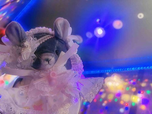 キラキラ〜ʕ•ᴥ•ʔ.*･ﾟ　.ﾟ･*.