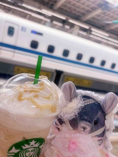 とっても楽しかったぅʕ•ᴥ•ʔ✌️ﾁｮｷ
新幹線に乗って帰ろうねʕ•ᴥ•ʔ.*･ﾟ　.ﾟ･*.ばいばいばいばい〜ʕ•ᴥ•ʔ