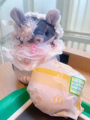 ちゃんぷるだけの特別なチーズバーガー食べちゃうʕ•ᴥ•ʔ🍔.*･ﾟ　.ﾟ･*.