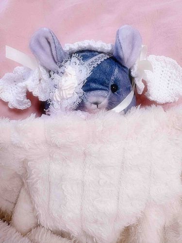 ただいま〜ʕ•ᴥ•ʔ.*･ﾟ　.ﾟ･*.
おうちのベッドでゴロンだぅ〜おちつくねʕ•ᴥ•ʔ✌️