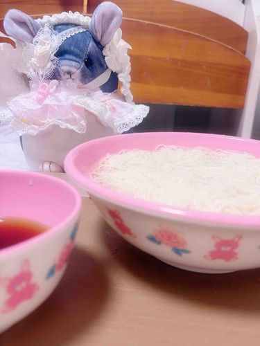 お腹に優しくお素麺食べようʕ•ᴥ•ʔ🥢.*･ﾟ　.ﾟ･*.