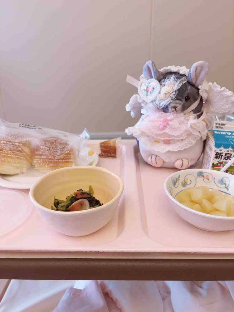 ママの付き添いで病院にお泊まりしてたぅ🏥
病院のご飯も美味しいよ!!!!ʕ•ᴥ•ʔ✌️