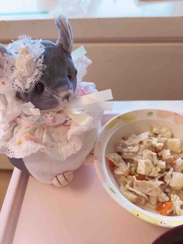 ちゃんぷると同じお名前のご飯だって🍚
お豆腐チャンプルーさんこんにちは!!ʕ•ᴥ•ʔ♡
もう少しでおうちに帰れるよ〜ʕ•ᴥ•ʔ✌️