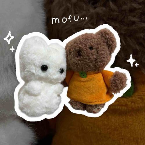 新しいお仲間！｢もけ｣ちゃん！
主が型紙から作ったぬいちゃんよ🧸
今日から頻繁に出てくるけど、許してね....