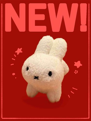お久しぶりです！
ボリスのサイズやもけちゃんが手術中だったりのため、お出かけの投稿は、このにゅーめんばーに託します！！よろしくやで！！！！！