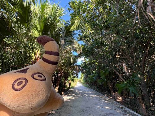 おきなわは まだまだ あつい☀️🌊
このさき どこにいけるかな🐮❓