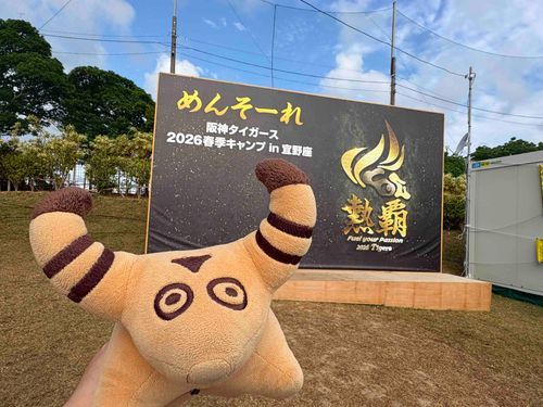 ことしも とらさんチームを おうえんしに いってきたよ🐯🐮⚾️✨