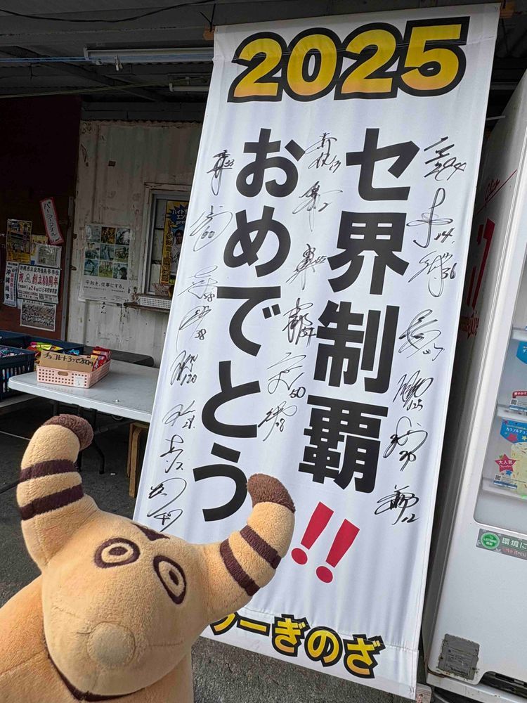 ことしも とらさんチームを おうえんしに いってきたよ🐯🐮⚾️✨