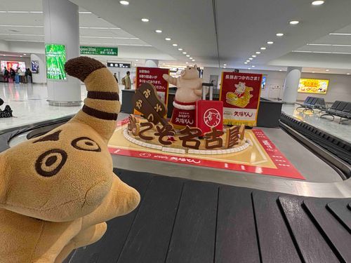 セントレアにきたよ✈️🐮✨
とっきゅうで ながのに いこう🚅🐟