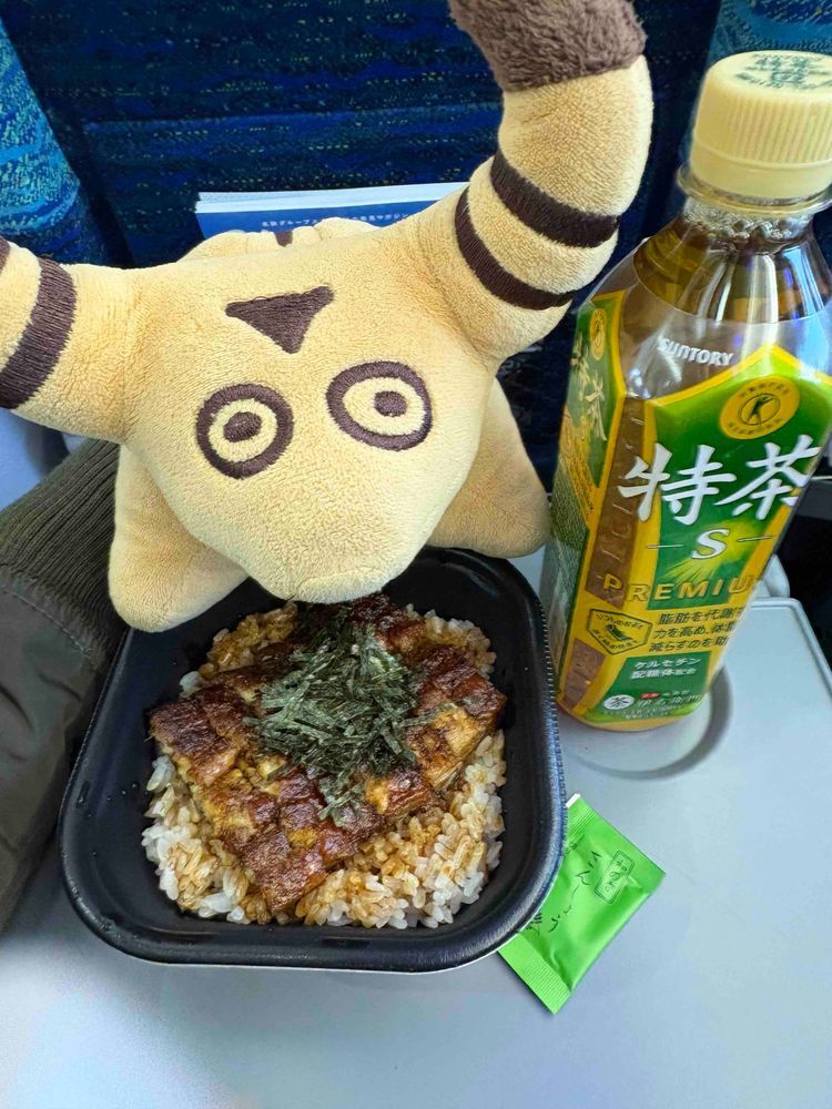 セントレアにきたよ✈️🐮✨
とっきゅうで ながのに いこう🚅🐟