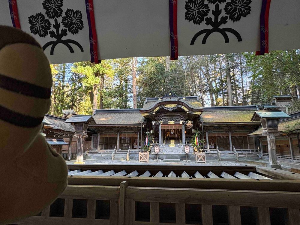 すわたいしゃに おまいりしたよ⛩️🐮✨
まだ こおっているところが あったよ❄️🌲