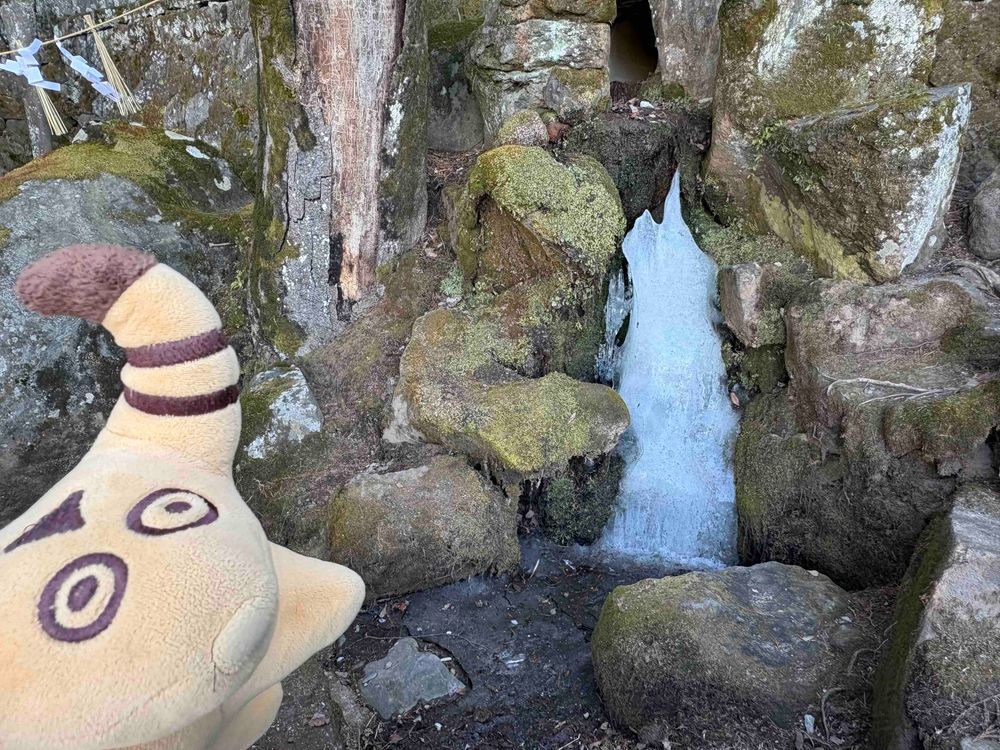 すわたいしゃに おまいりしたよ⛩️🐮✨
まだ こおっているところが あったよ❄️🌲