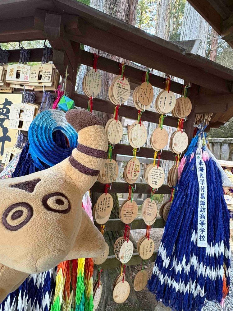 すわたいしゃに おまいりしたよ⛩️🐮✨
まだ こおっているところが あったよ❄️🌲