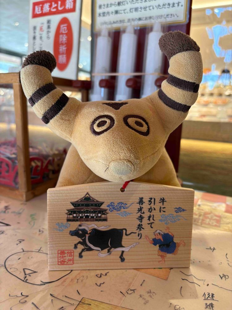 うしに ひかれて ぜんこうじ まいり🐮💨✨✨