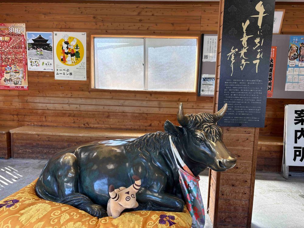 うしに ひかれて ぜんこうじ まいり🐮💨✨✨