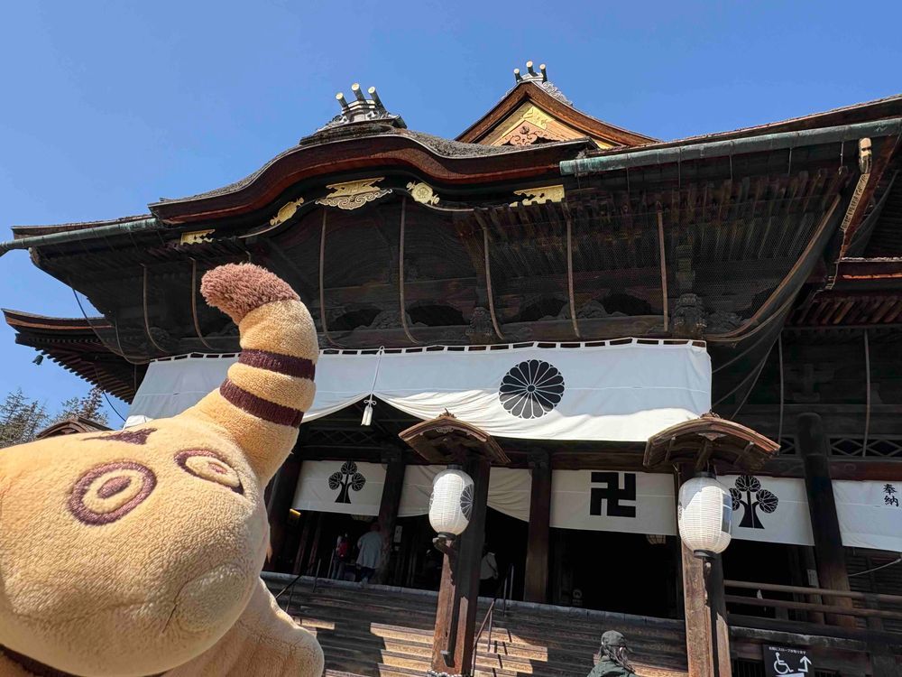 うしに ひかれて ぜんこうじ まいり🐮💨✨✨