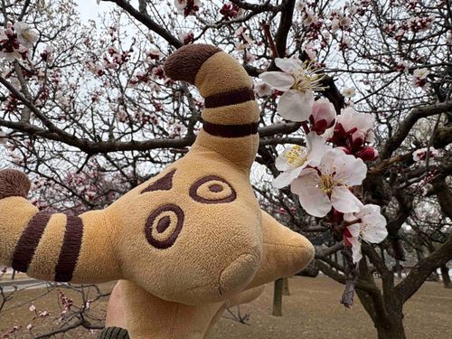 うめのはな🌸
いろんないろが あるんだね🐮