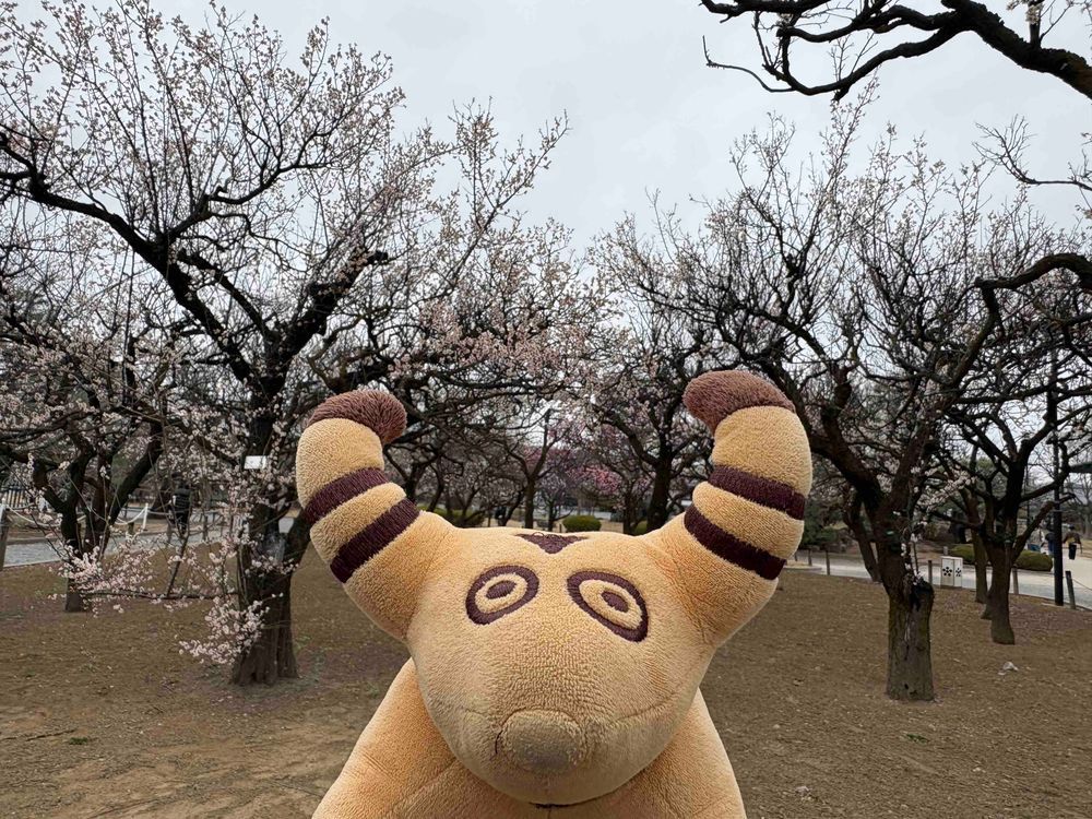 うめのはな🌸
いろんないろが あるんだね🐮