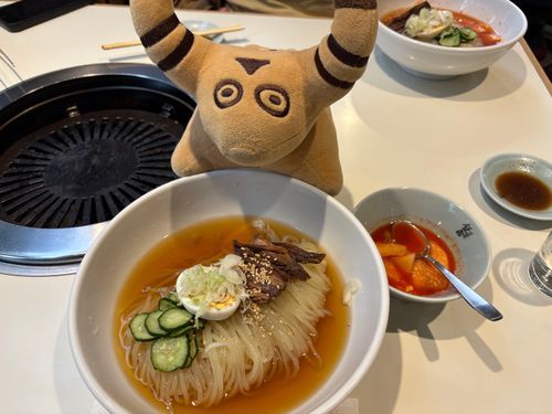 もりおかれいめん🍜✨
つるつる さっぱりで おいしいね🐮🎶