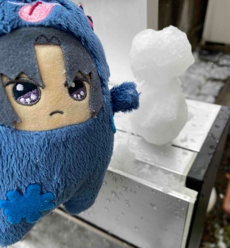 🥞みなさん こんにちは。ゆきがたくさん つもっています⛄️