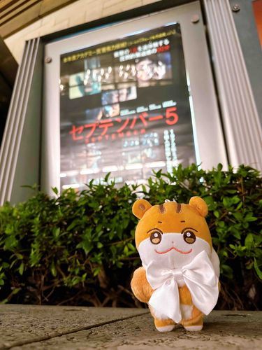えいが…
ちゅんらみは ねちゃうかもㅎㅎ
おこしてね？
