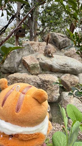 ちんぐや～🐿

…ともだち なれるかな？