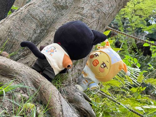 🐱「なにしてるの？？」
🐥「おれ 妖精だから みえないぴょん」
🐱「みえるんだけど？？」