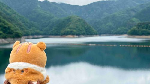 おお～ きれい～ㅎㅎ
これ うみ？？
☺️＜これは湖だよ